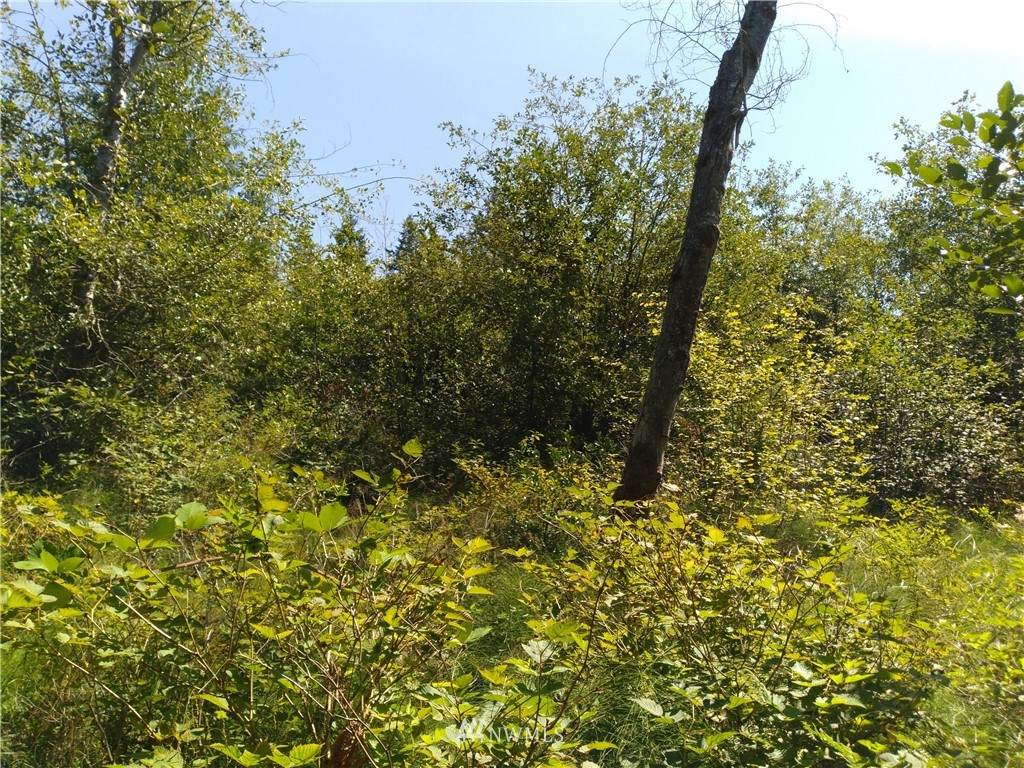 1200 Baby Doll Road - Photo 1