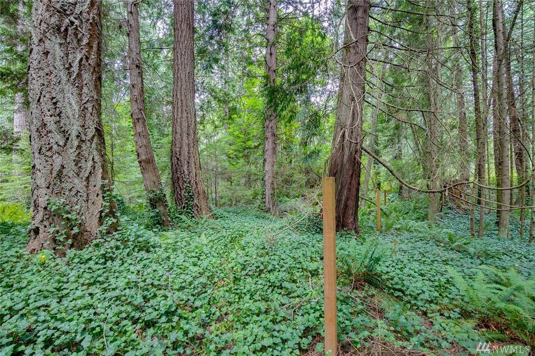 0-Lot X Skogen Lane - Photo 1 0-Lot X Skogen Lane - Photo 1