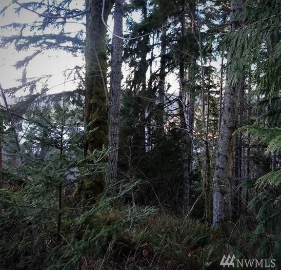 1019 Turkey Rd - Photo 1