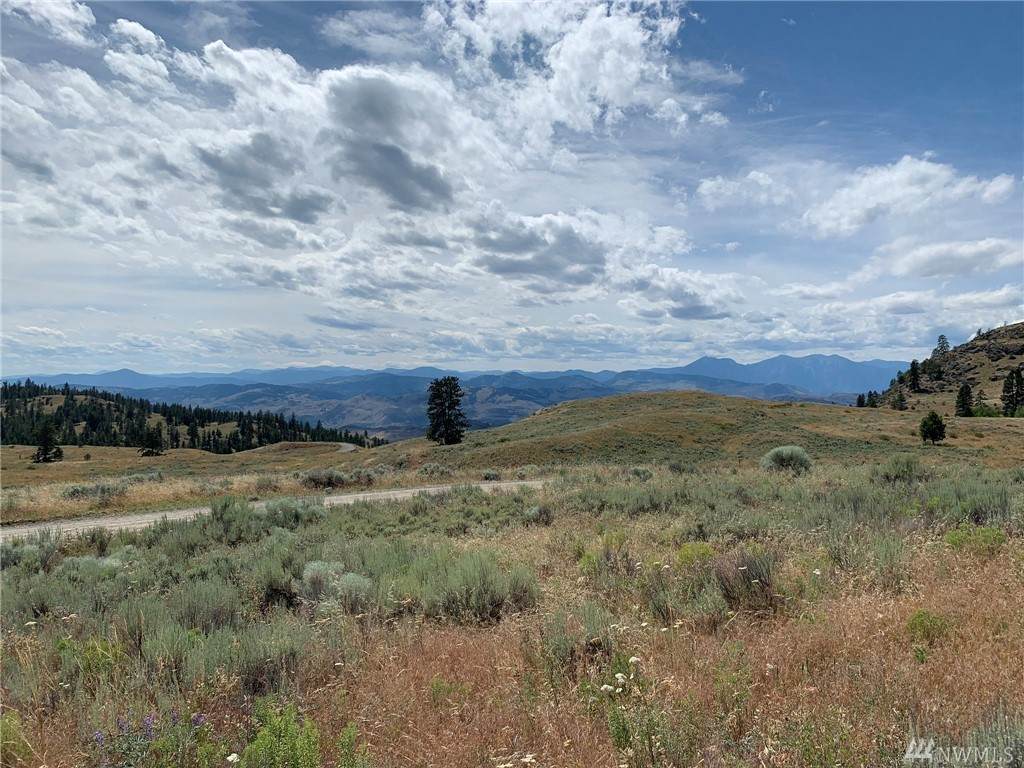 0 Tbd Blue Grouse Road - Photo 1