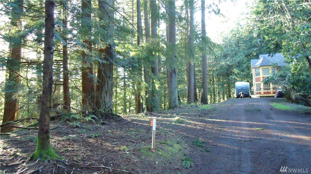 16-A Gray Birch Lane - Photo 1
