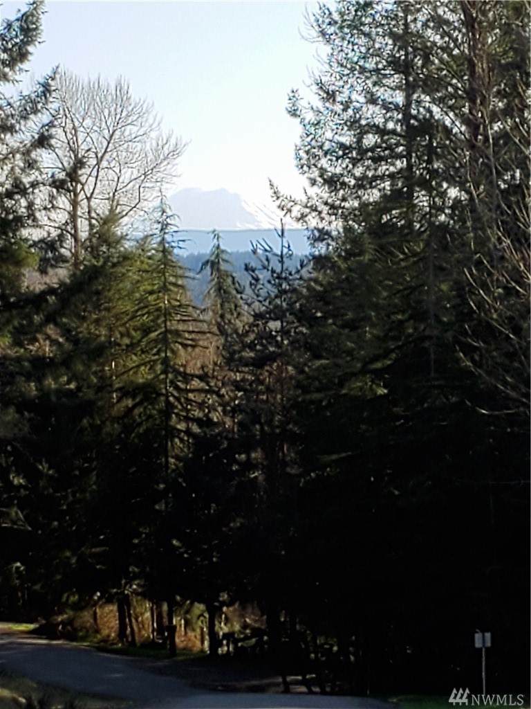 116-XX 296th Ave - Photo 1