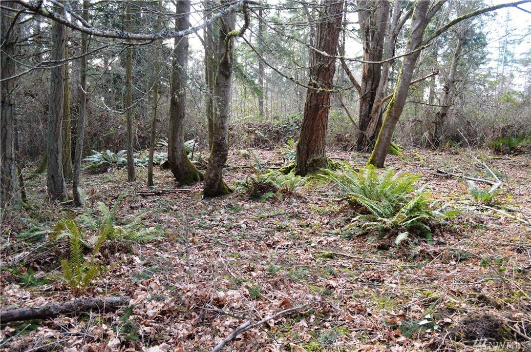 1100 Bush Point Rd - Photo 1