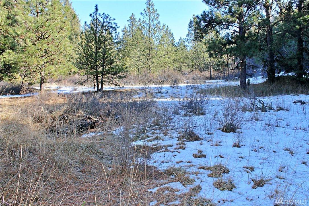 26305 Mean Canyon Trail - Photo 1