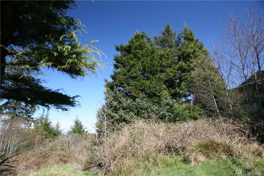 21-xx Wecoma Place - Photo 1