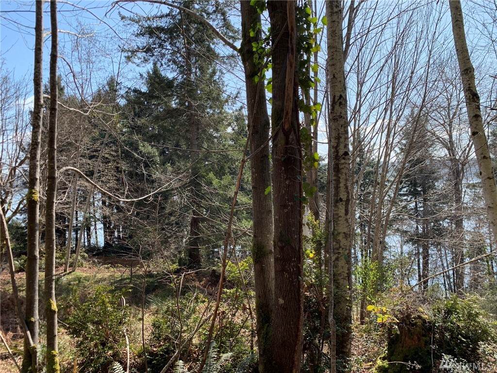7365 North Shore Rd - Photo 1