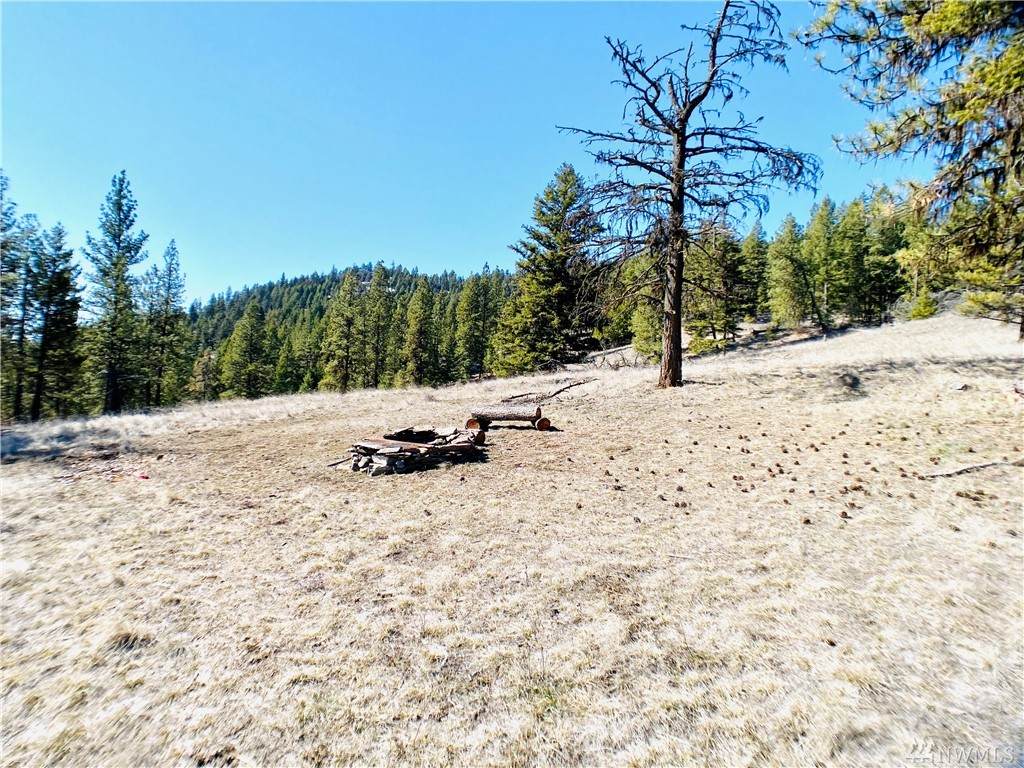9999 Tbd Klondike Rd - Photo 1