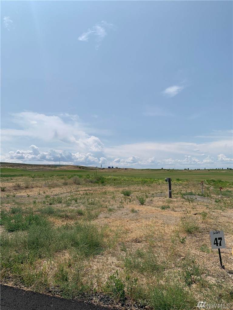 6549 Hwy 262 Lot 47 - Photo 1 6549 Hwy 262 Lot 47 - Photo 1