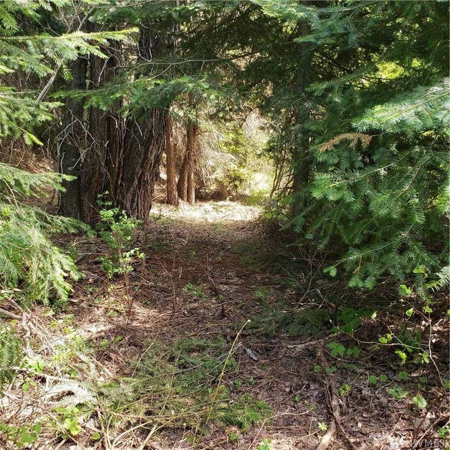 49 Wagon Wheel Rd - Photo 1 49 Wagon Wheel Rd - Photo 1