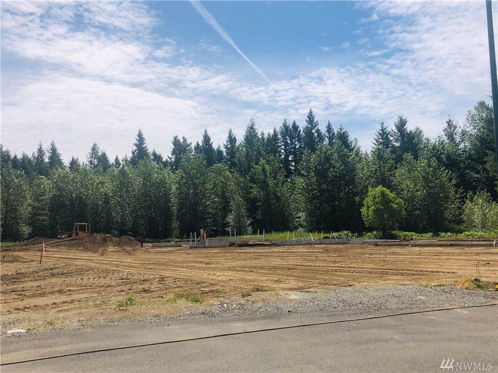 11915 244th Avenue Ct - Photo 1