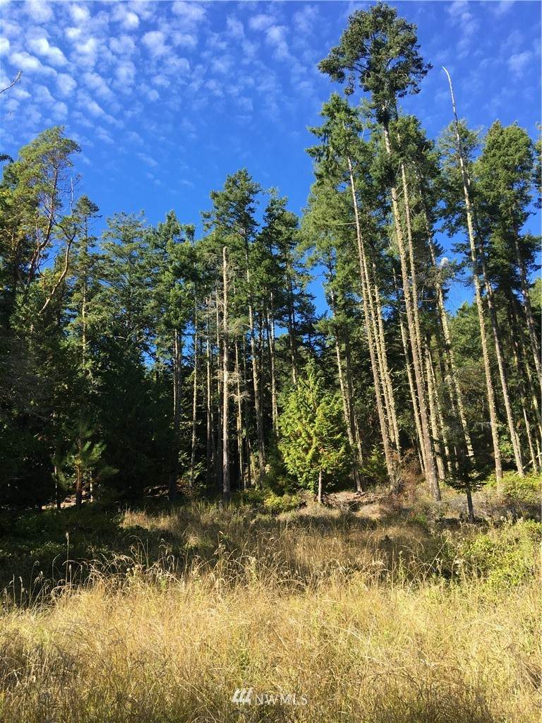 0 Shaw Island - Photo 1