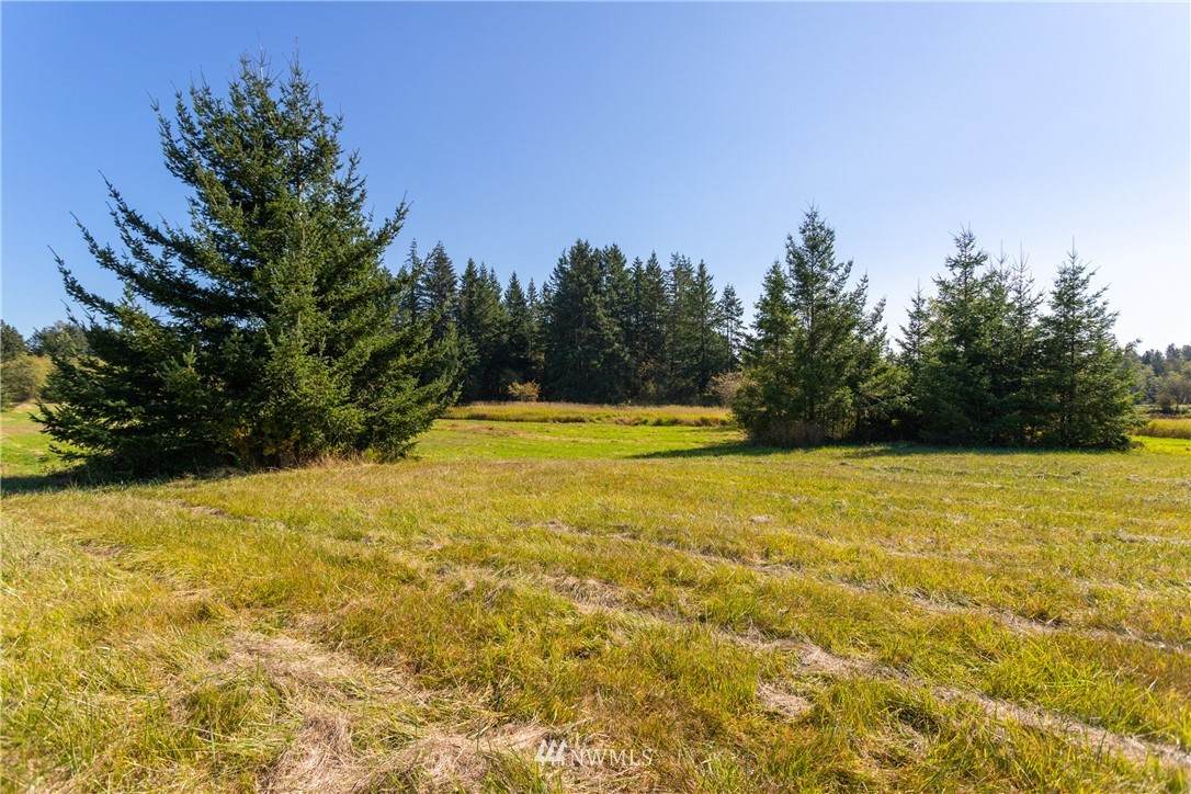 0 Birch Bay Lynden Road - Photo 1