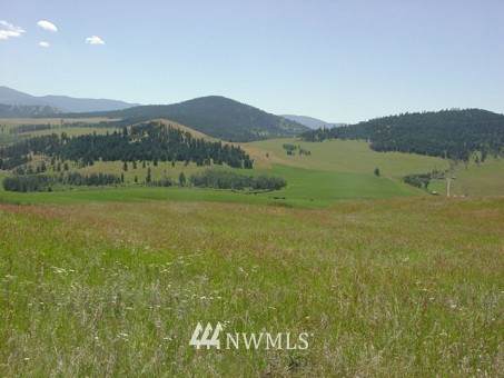 120 Davies Road - Photo 1