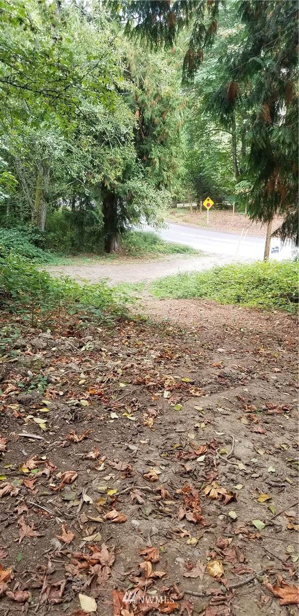 13545 Old Military Road - Photo 1