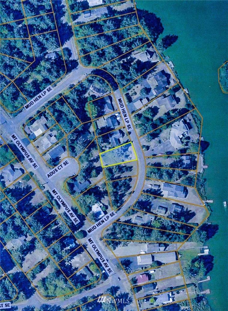 459 Mud Hen Loop - Photo 1