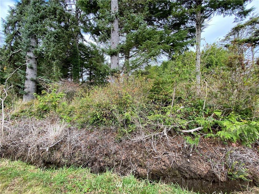 11 Campbell Lane - Photo 1