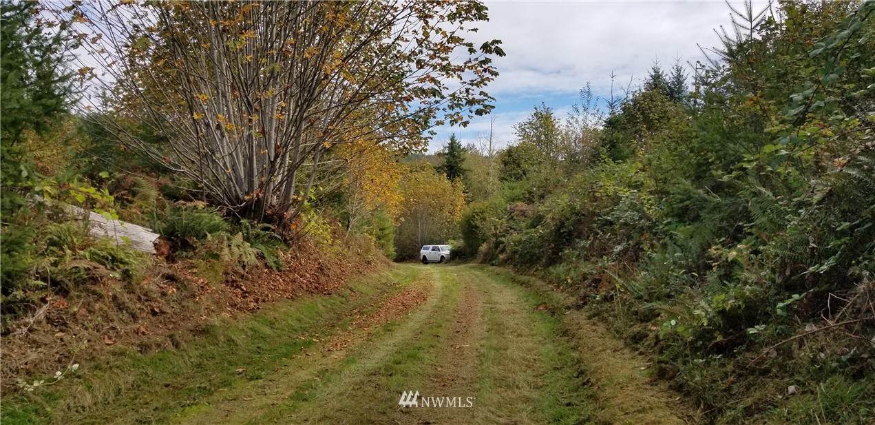 348 XX Enumclaw-Black Diamond Road - Photo 1