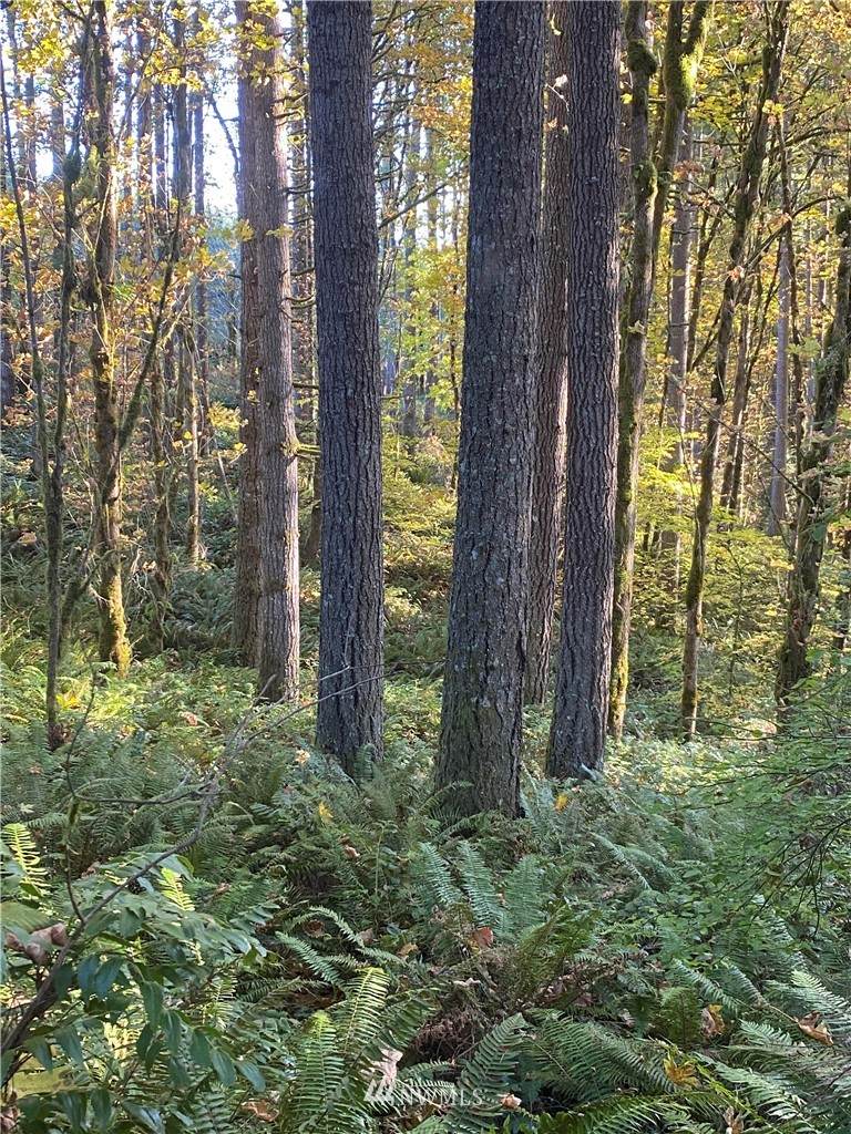 0 Deep Creek Road - Photo 1