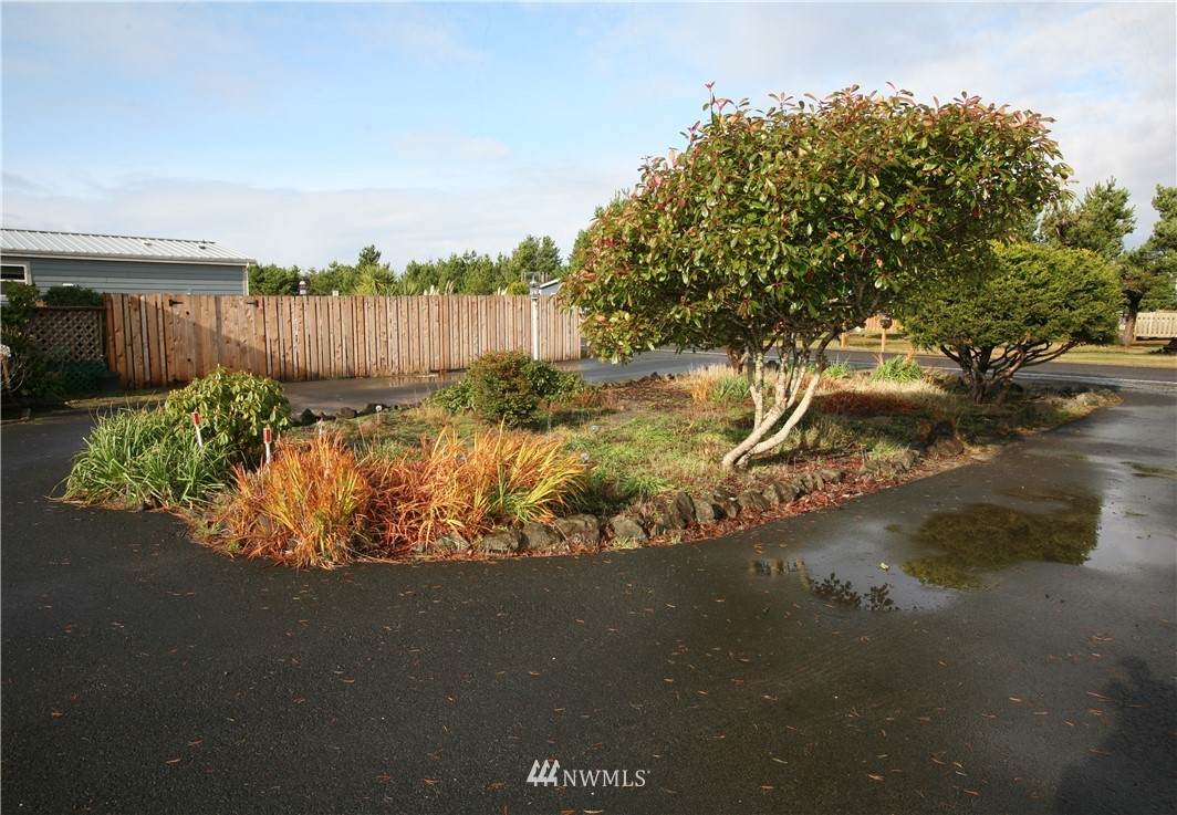 802 Oysterville Road - Photo 1
