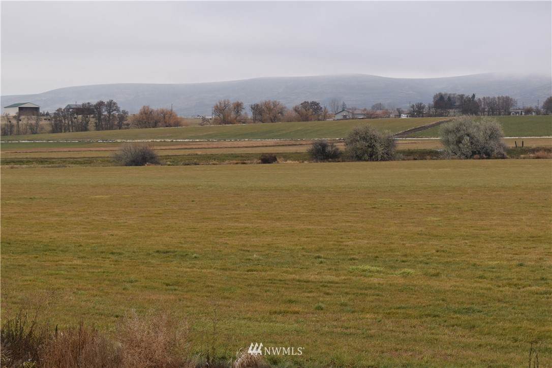 10161 Upper Badger Pocket Road - Photo 1
