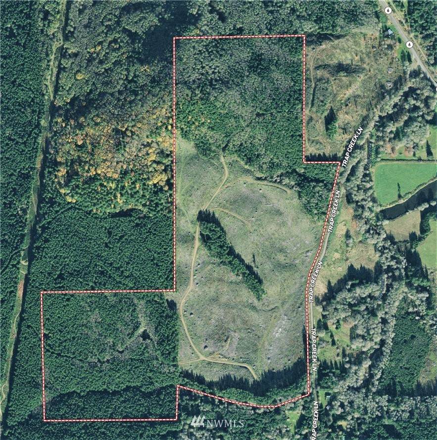111 Trap Creek Road - Photo 1
