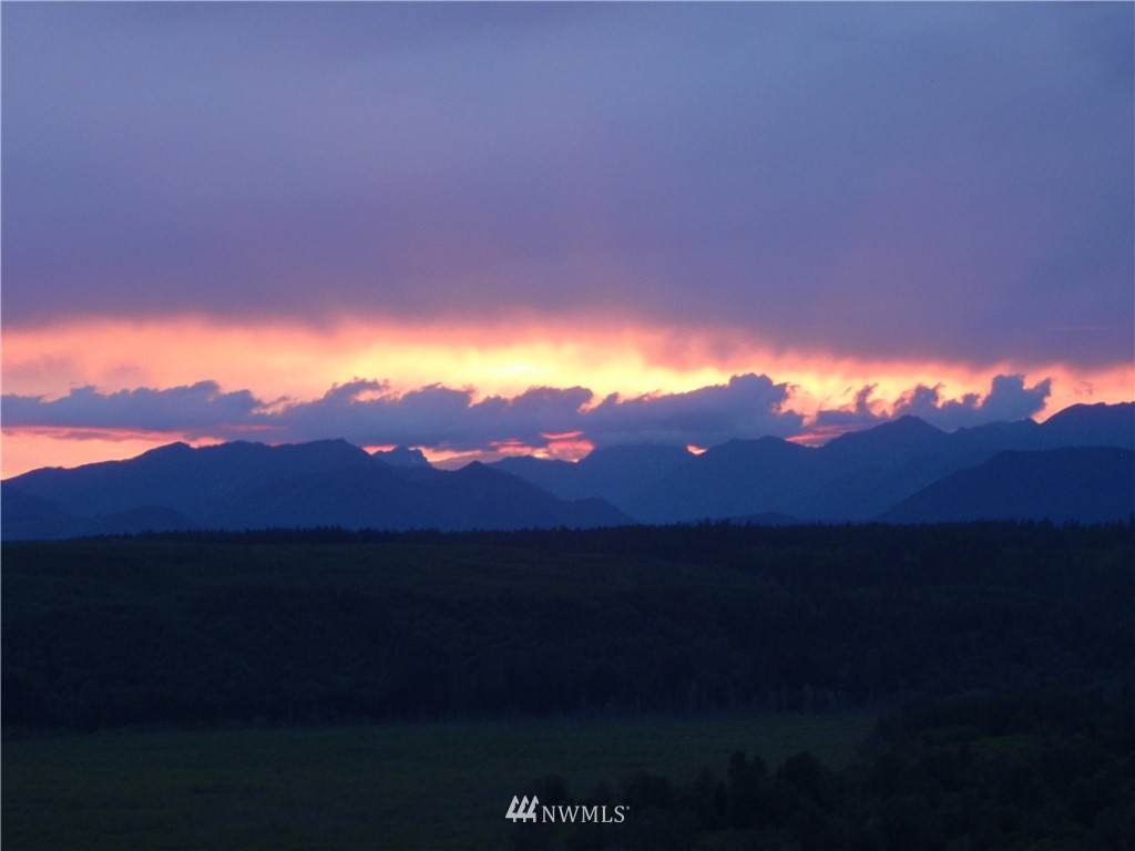 1473 Webb Hill Road - Photo 1