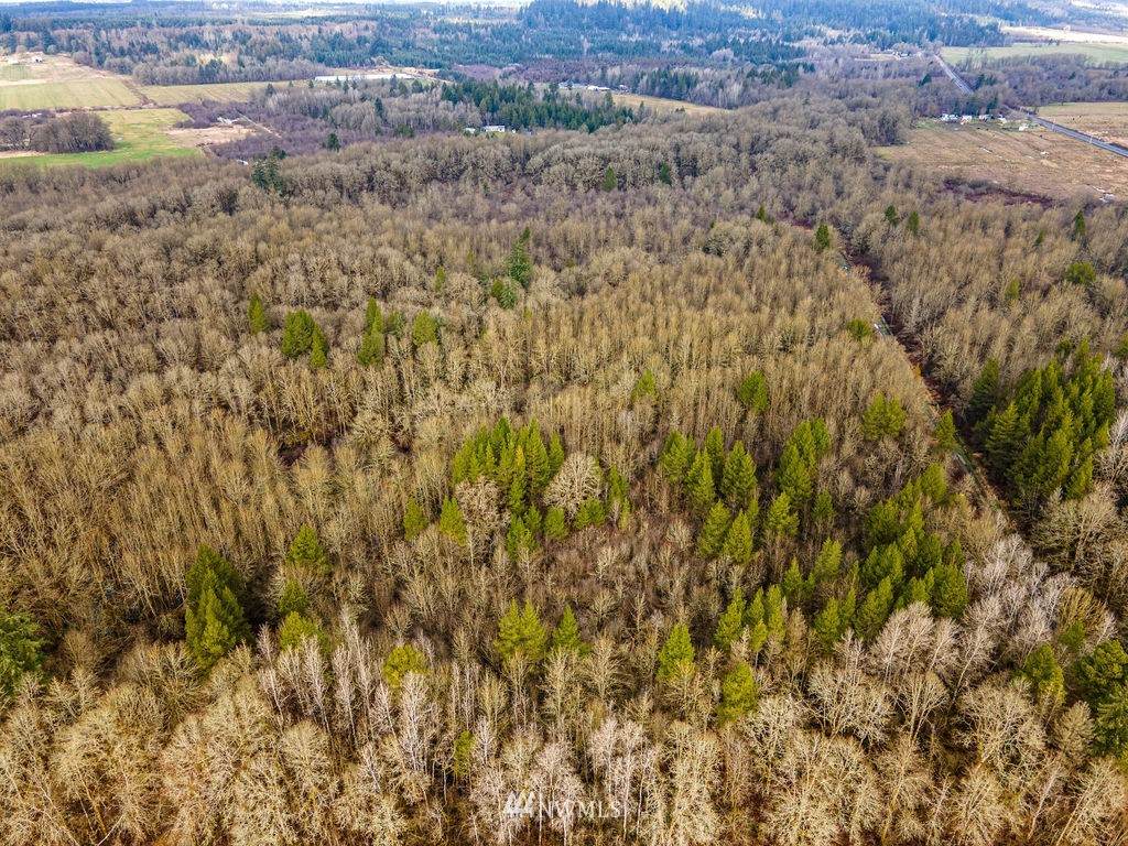 0 Jackson Highway - Photo 1
