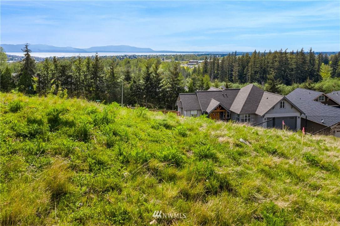 3239 Stonecrop Lane - Photo 1