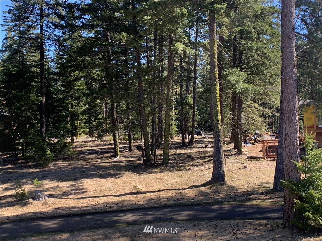 850 Larkspur Loop - Photo 1