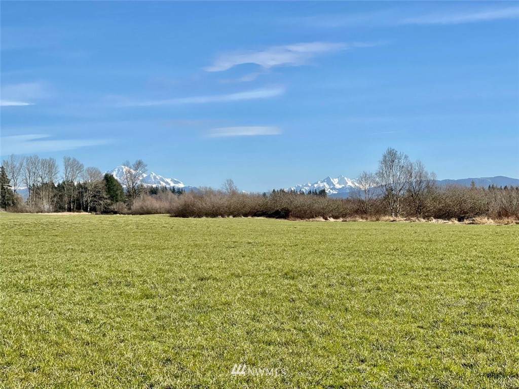 0 Willeys Lake Rd - Photo 1