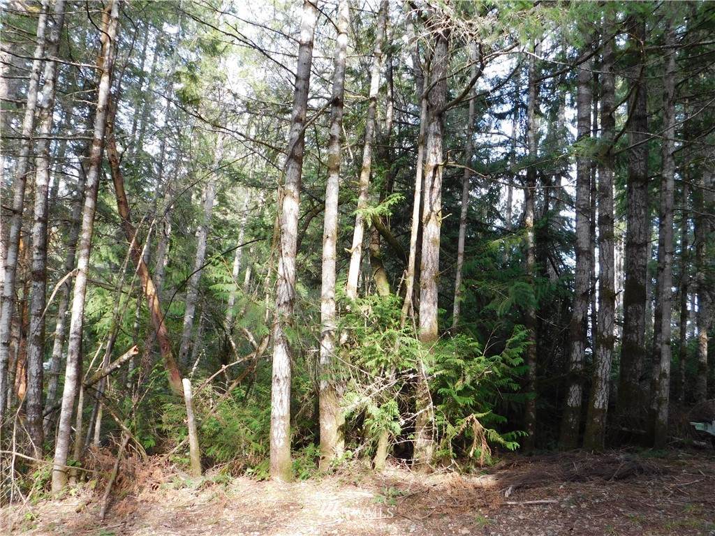 20 West Drive - Photo 1