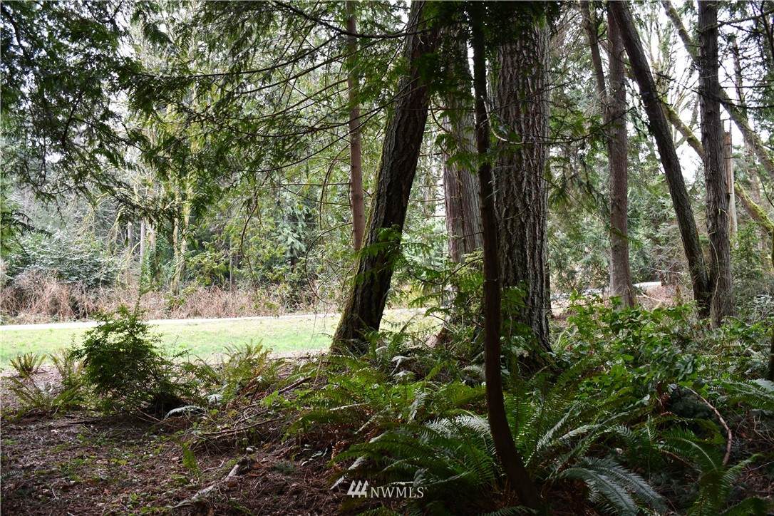 0 Woodhaven Lane - Photo 1