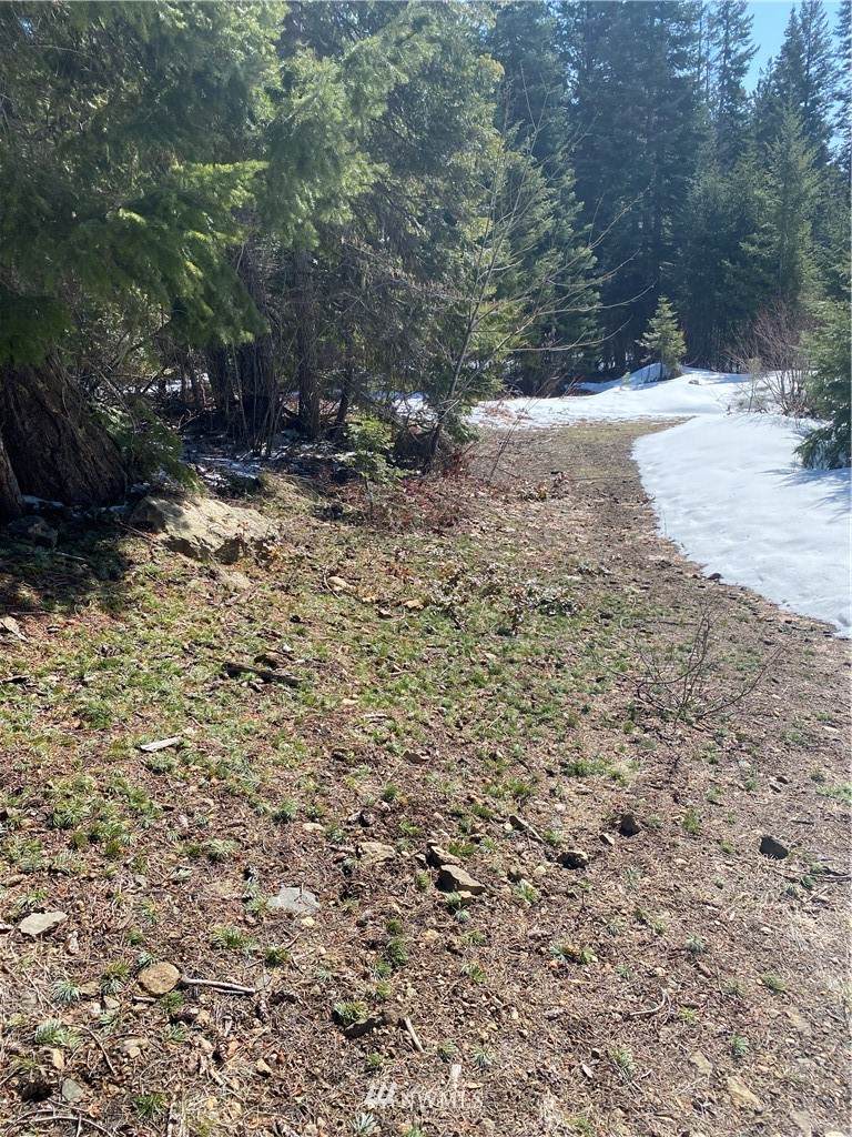 5 Newport Creek Drive - Photo 1