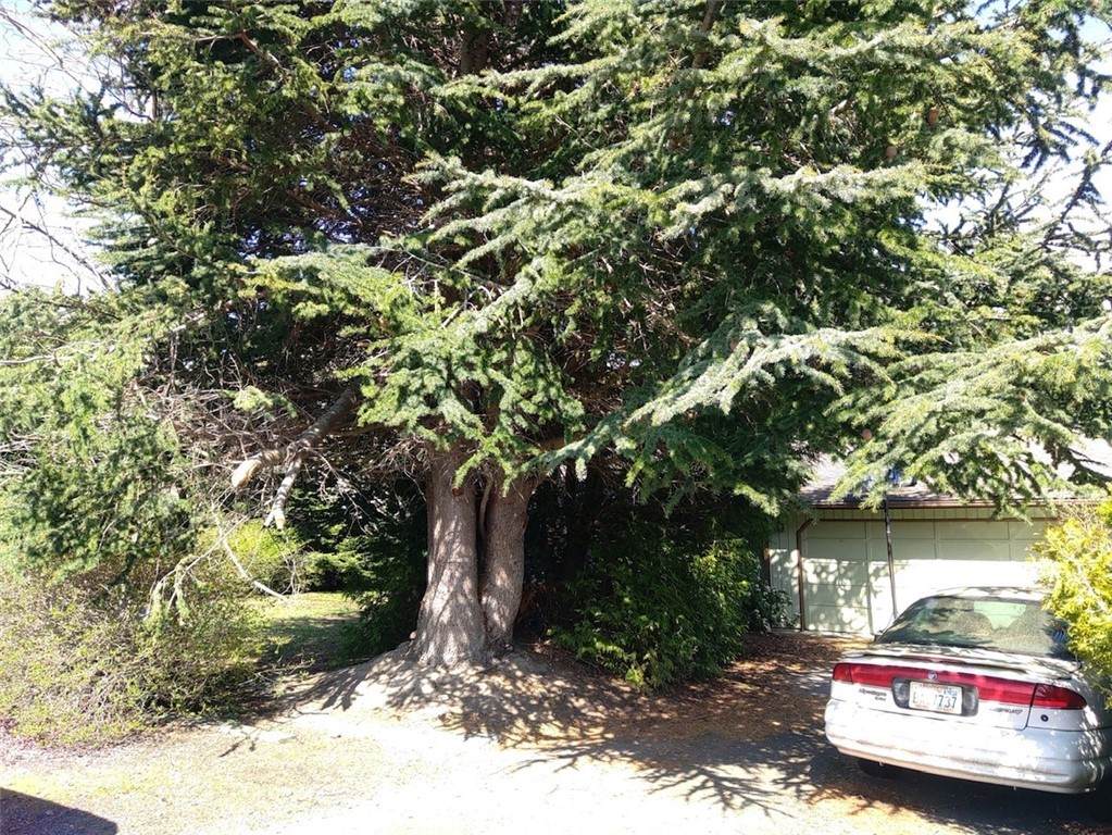 2220 14th Street - Photo 1