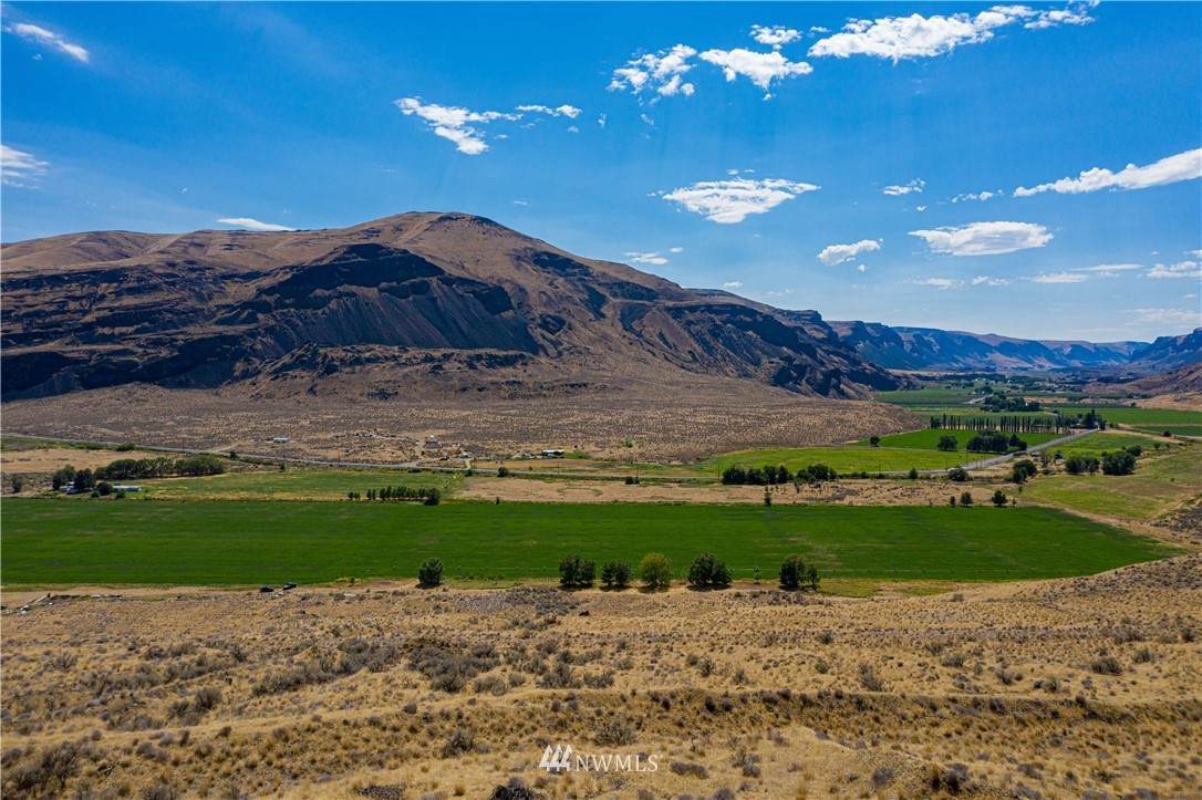 0 Douglas Creek Road - Photo 1