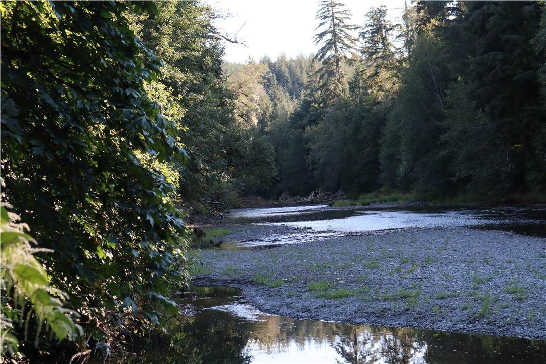 0 X Satsop Road - Photo 1