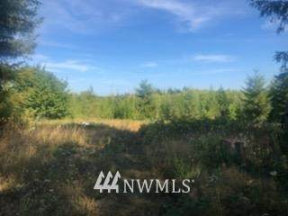 225 Volcano Lane - Photo 1