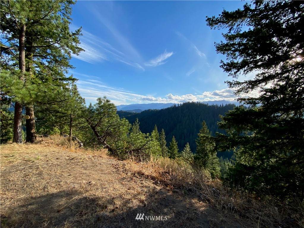 0 Chumstick Highway - Photo 1