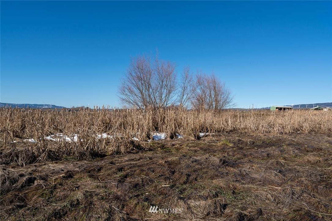 236 Smithson Road - Photo 1