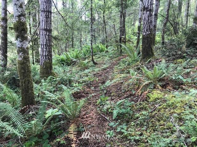 131 Duck Cove Road - Photo 1