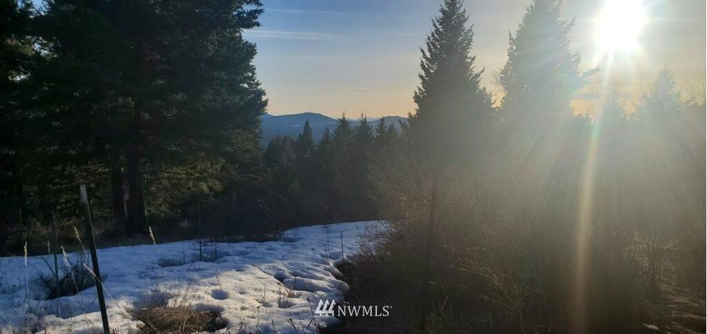 83 Cow Camp Road - Photo 1