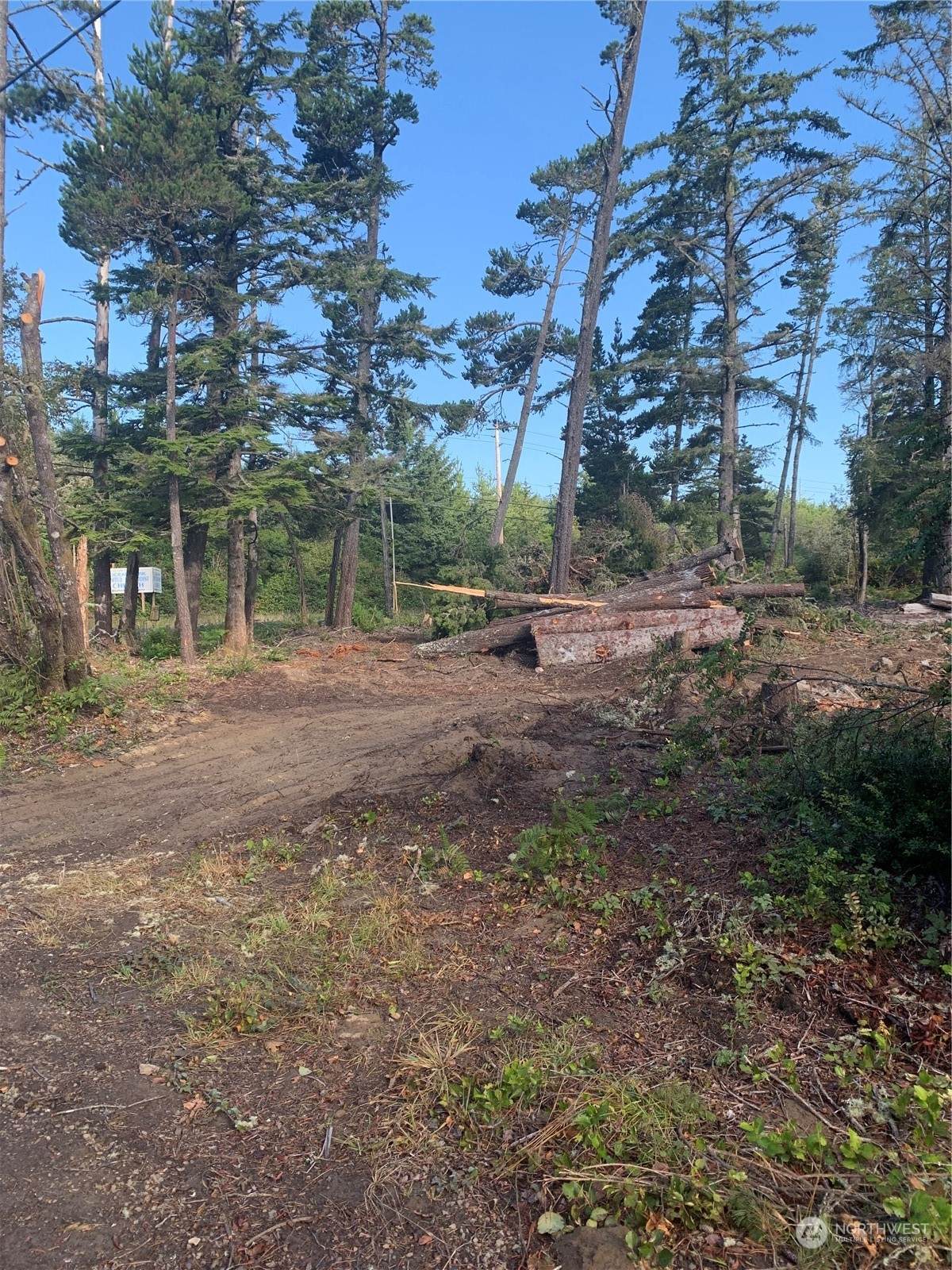 282 XX Vernon Avenue - Photo 1
