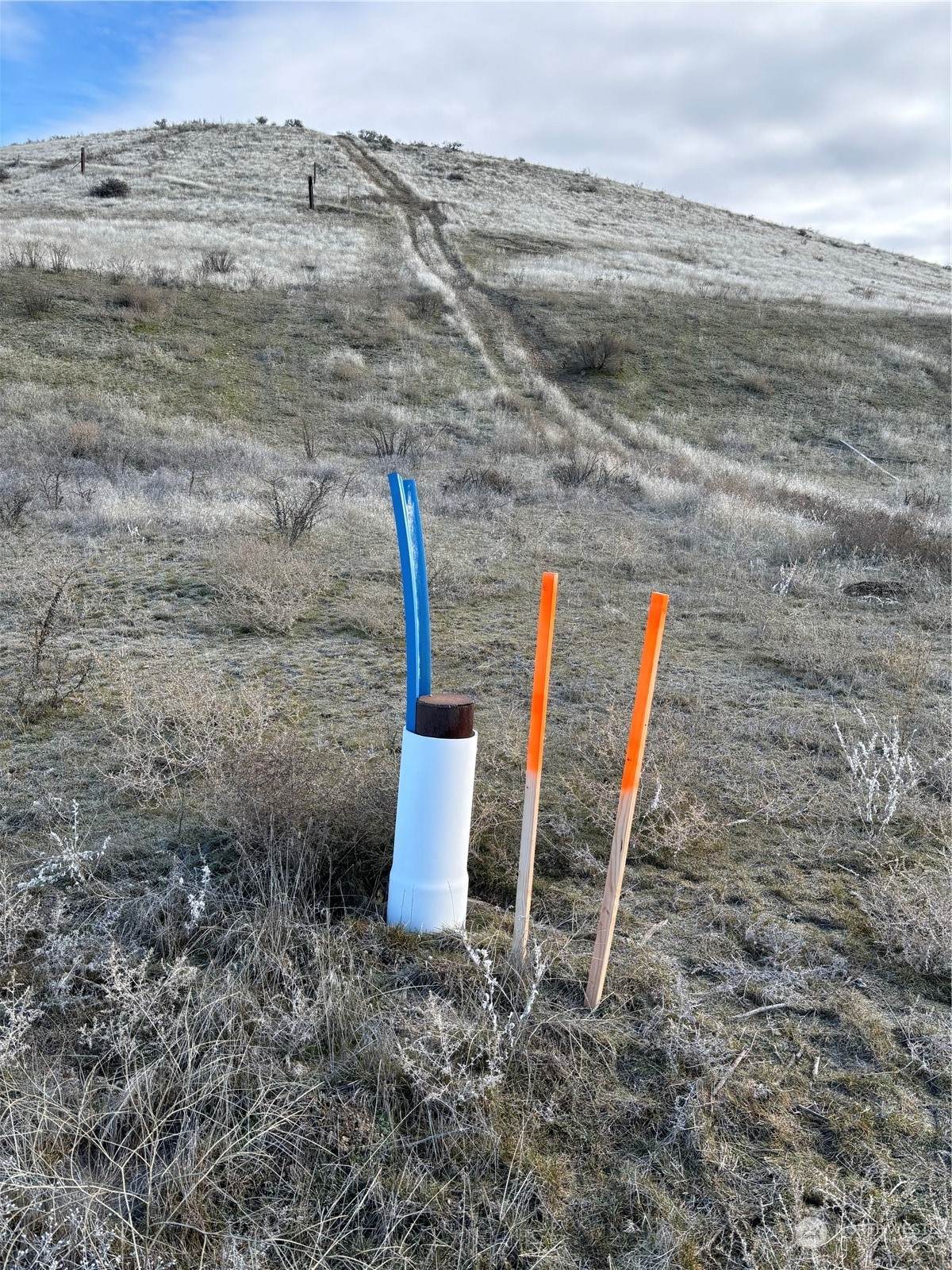 0 Shotgun Lane - Photo 1