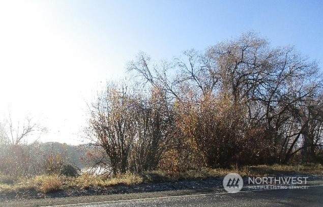 97 Mcdonald Road - Photo 1