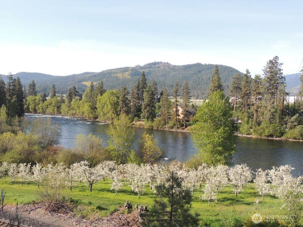 9291 Pakascwa Road - Photo 1