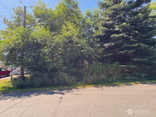 43 Sycamore Road - Photo 1