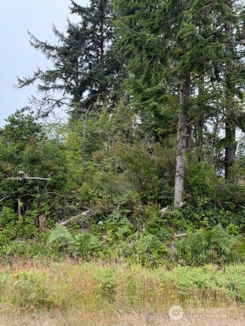 577 Sunset Avenue - Photo 1