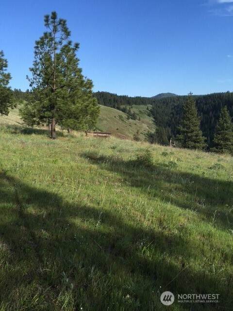 0 Bare Land - Photo 1