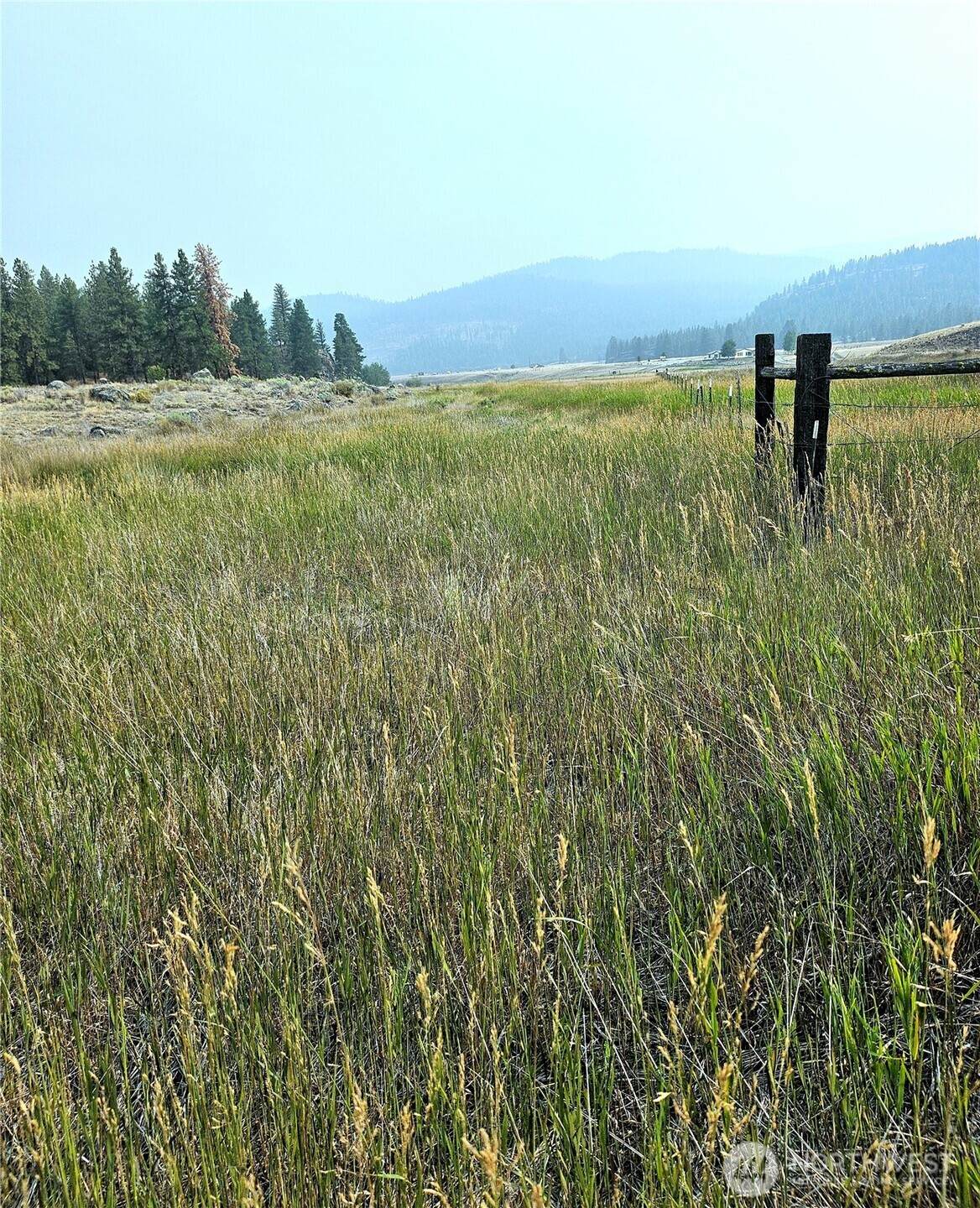 41 Tbd Main Rd - Photo 1