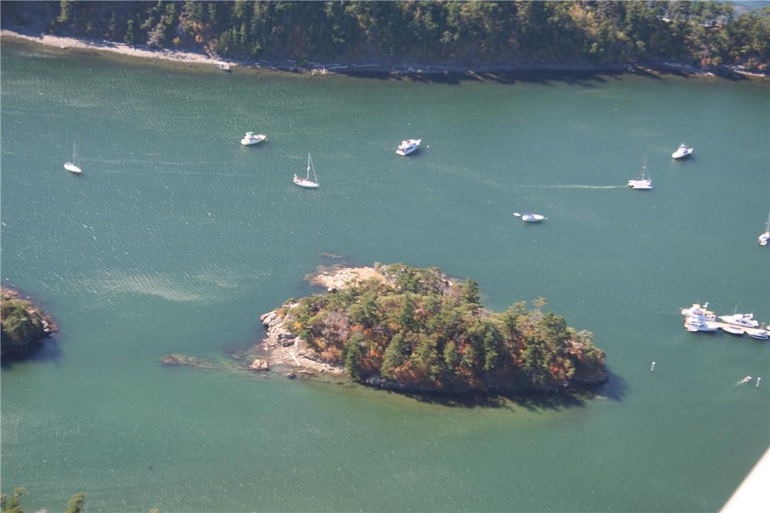 0 Harndon Island - Photo 1